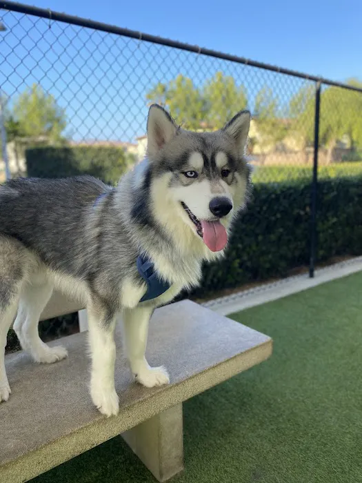 Barker Ranch Dog Park 7