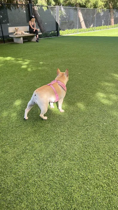 Barker Ranch Dog Park 1