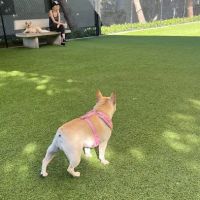 Barker Ranch Dog Park ico