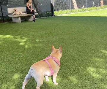 Barker Ranch Dog Park