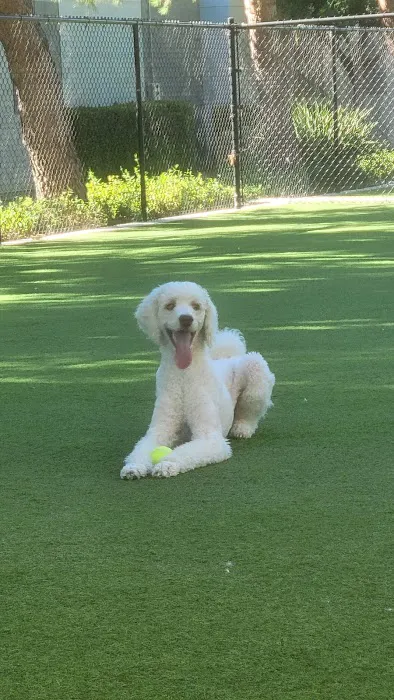 Barker Ranch Dog Park 8