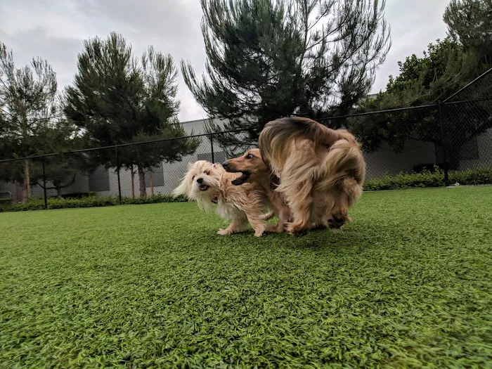 Barker Ranch Dog Park 2