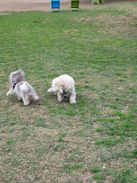 La Paws Dog Park 6