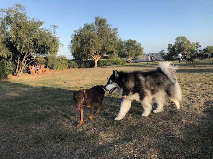 La Paws Dog Park 2