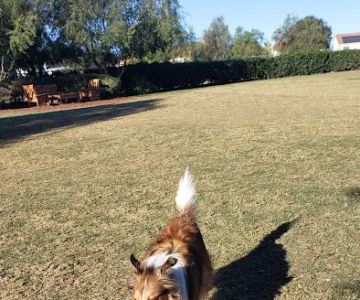 La Paws Dog Park