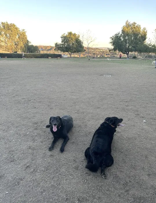 La Paws Dog Park 5
