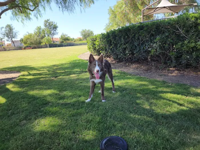 La Paws Dog Park 8
