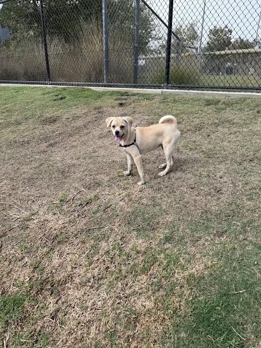 Cañada Vista Dog Park 10