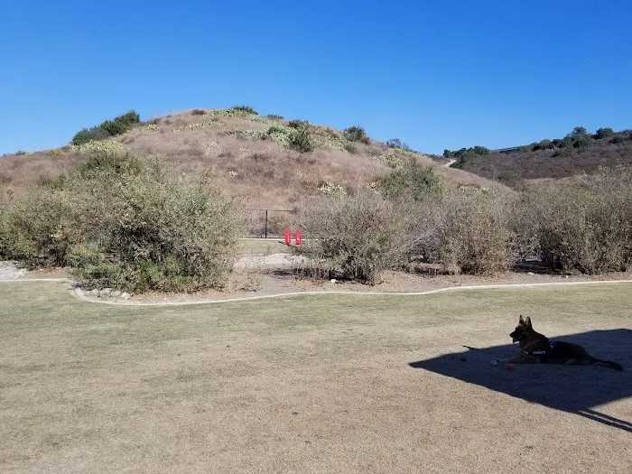 Cañada Vista Dog Park 9