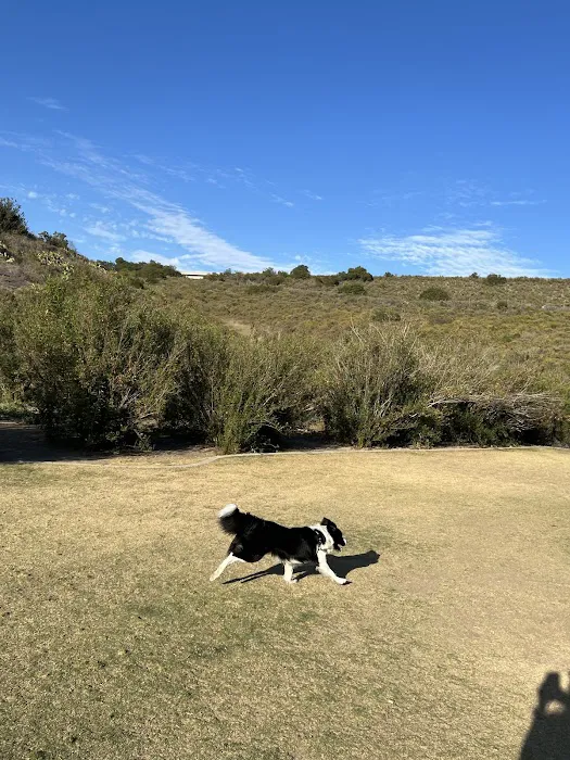 Cañada Vista Dog Park 5