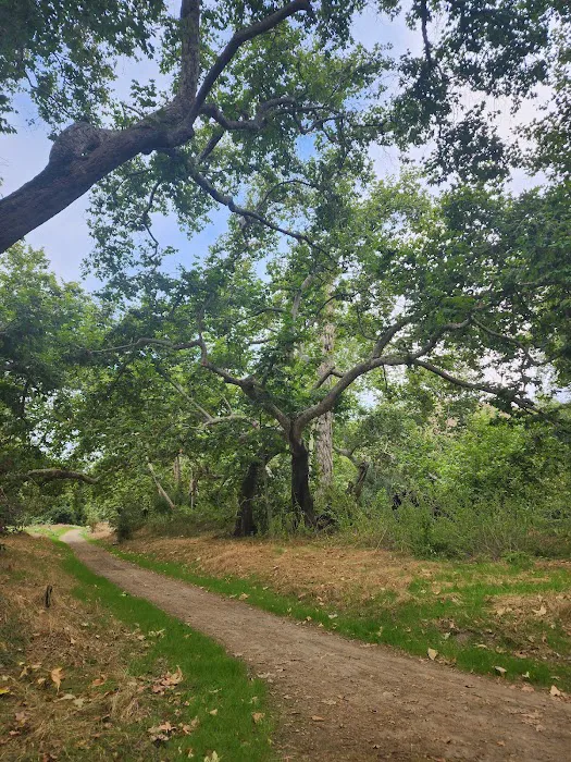 Cañada Vista Dog Park 2