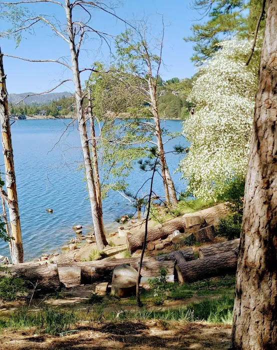 Lake Gregory Dog Park 9