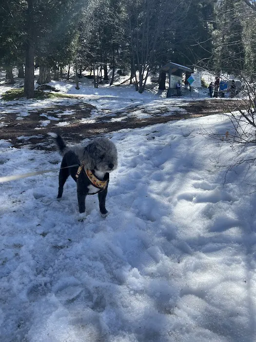 Lake Gregory Dog Park 8