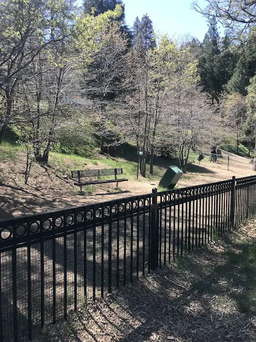 Lake Gregory Dog Park 1