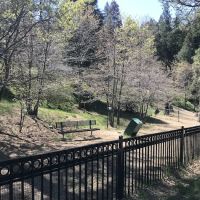 Lake Gregory Dog Park ico