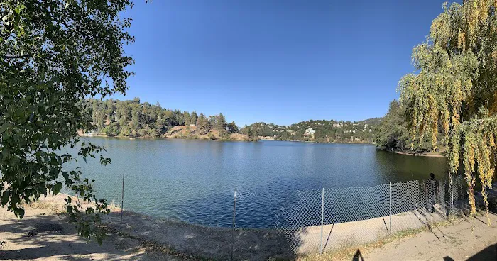 Lake Gregory Dog Park 4