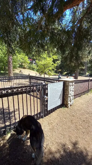Lake Gregory Dog Park 10