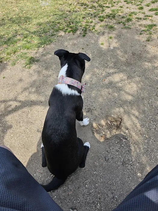 Loma Linda Small Dog Park 7