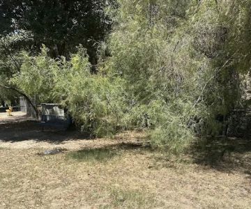 Loma Linda Small Dog Park
