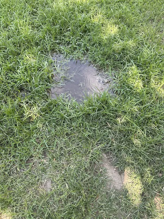 Loma Linda Small Dog Park 3