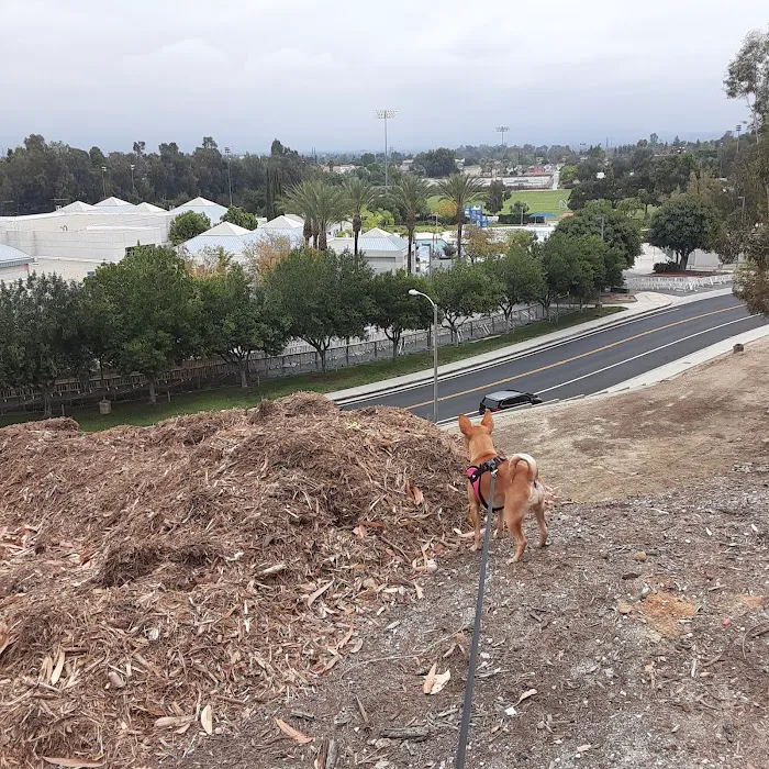 Loma Linda Large Dog Park 2