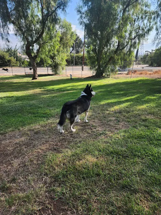 Loma Linda Large Dog Park 1