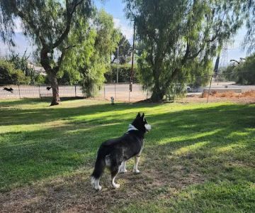 Loma Linda Large Dog Park