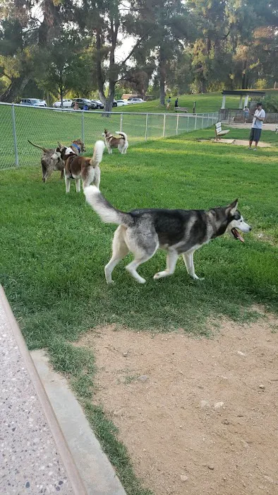 Redlands Dog Park 2