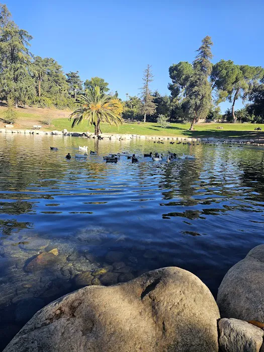 Redlands Dog Park 7