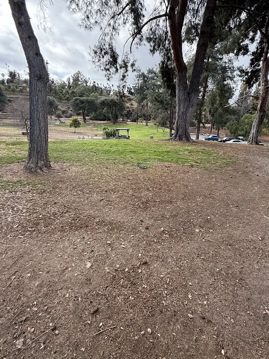 Redlands Dog Park 10
