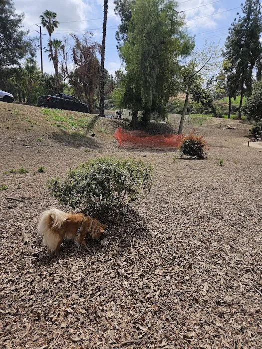 Redlands Dog Park 9