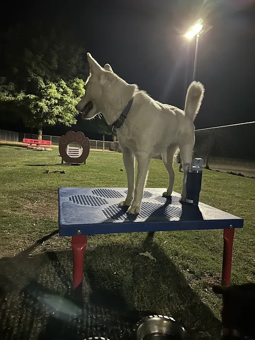 Hound Town 3