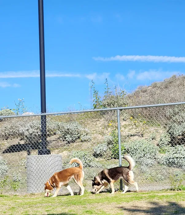 Hound Town 4