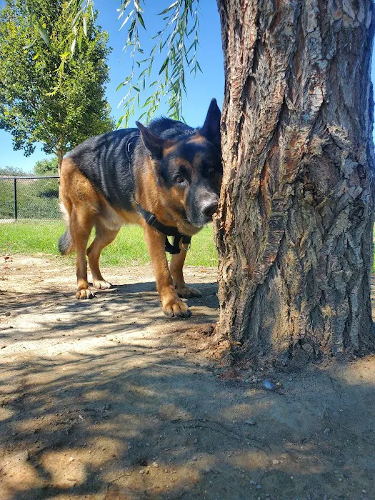 Nicklaus DiscGolf Park & Dog Park 5