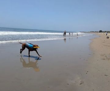 Carpinteria Dog Beach