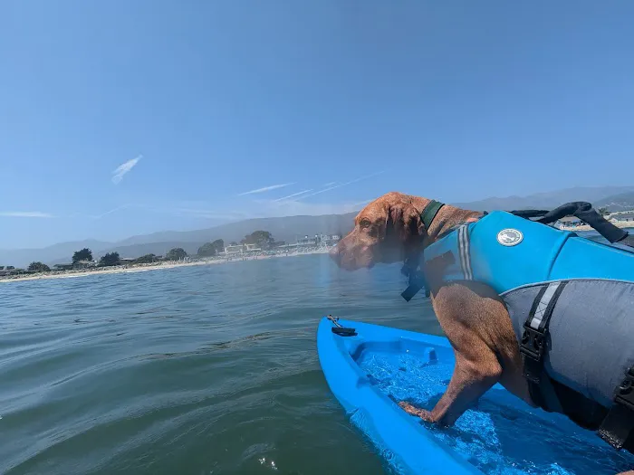 Carpinteria Dog Beach 2
