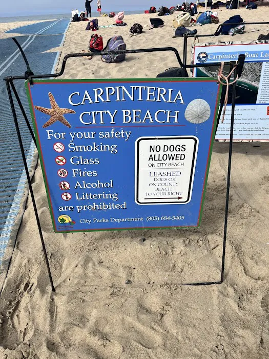 Carpinteria Dog Beach 10
