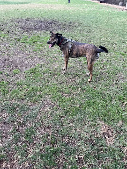 Wagsdale Dog Park (Private-access) 5
