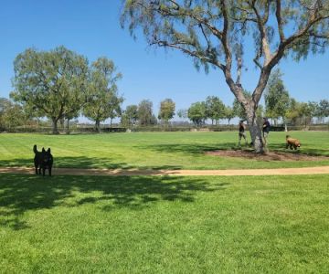 Wagsdale Dog Park (Private-access)