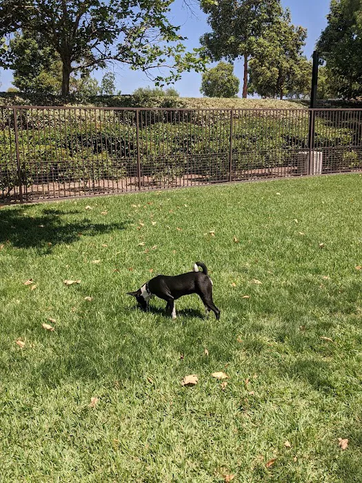 Wagsdale Dog Park (Private-access) 8