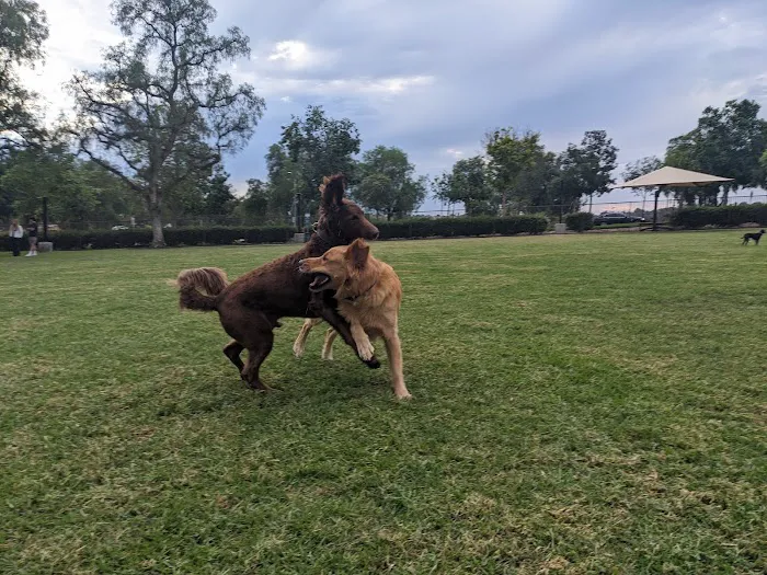 Wagsdale Dog Park (Private-access) 9