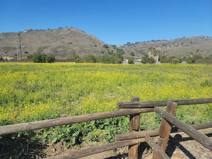 Dr Joe Cortese Dog Park 8