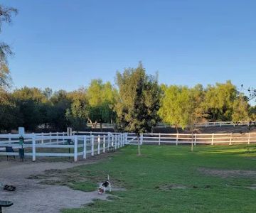 Coto De Caza Dog Park(private access)