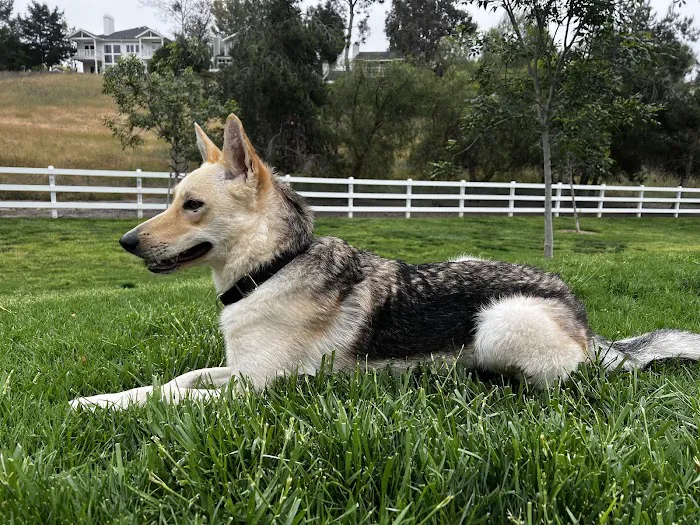 Coto De Caza Dog Park(private access) 10