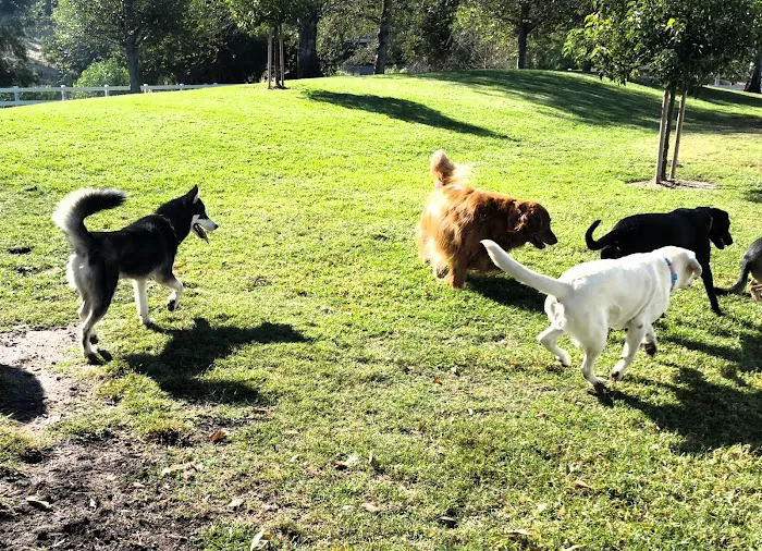 Coto De Caza Dog Park(private access) 5