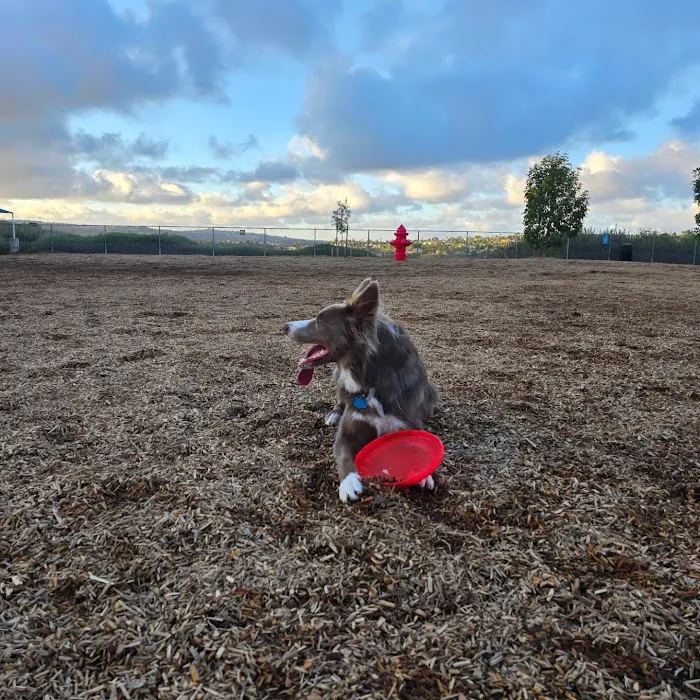 Laguna Niguel Pooch Park 10