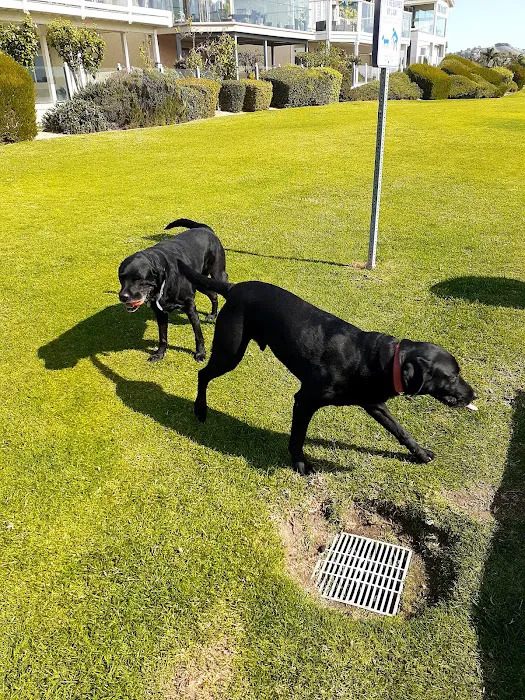 Crystal Cove Dog Park 8