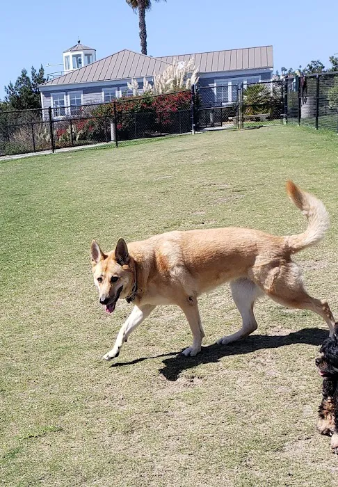 Crystal Cove Dog Park 9