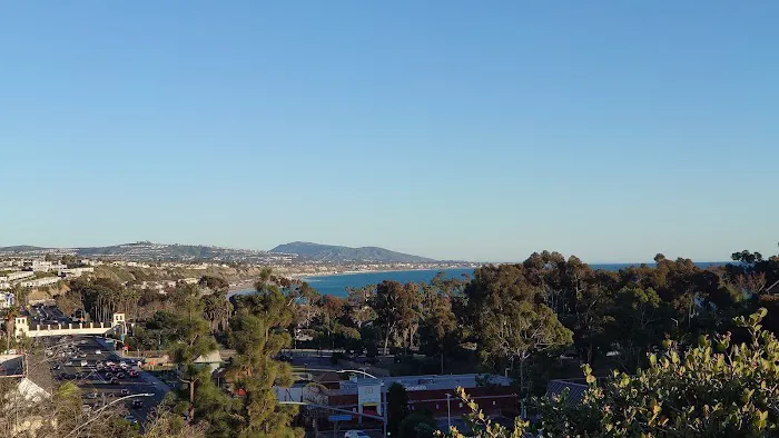 Crystal Cove Dog Park 4