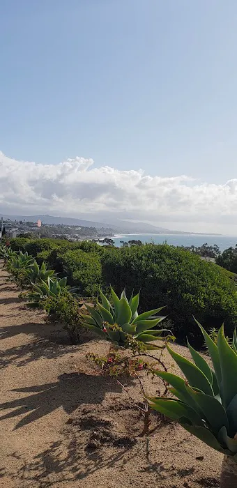 Crystal Cove Dog Park 1
